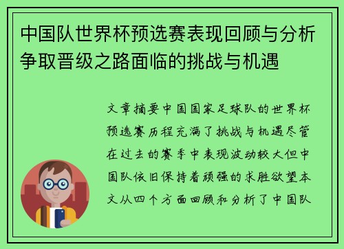 中国队世界杯预选赛表现回顾与分析争取晋级之路面临的挑战与机遇